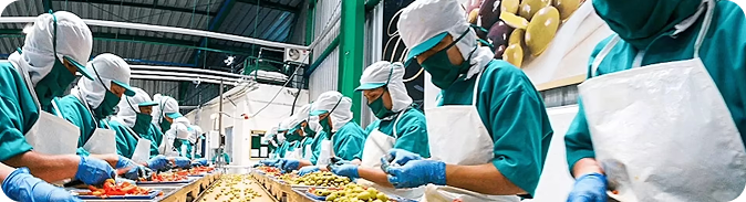 Ensure 24/7 Compliance in Pharmaceutical Storage