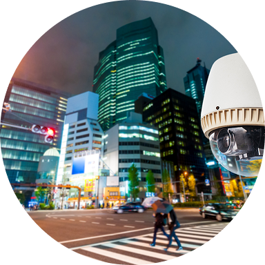 Smart Surveillance System