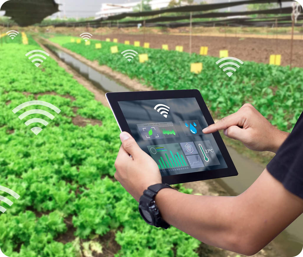 Smart Agriculture